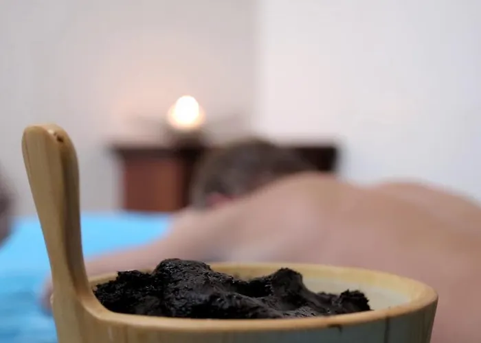 Ensana Nove Lazne 5* 玛丽亚温泉